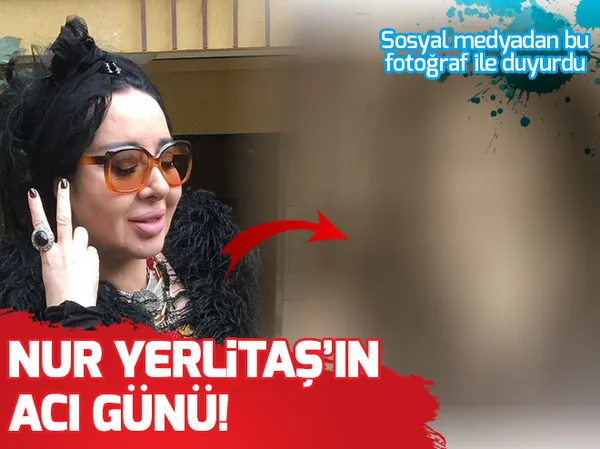 Seren Serengil'den yeni hamle! Eski sevgilisini... - 2