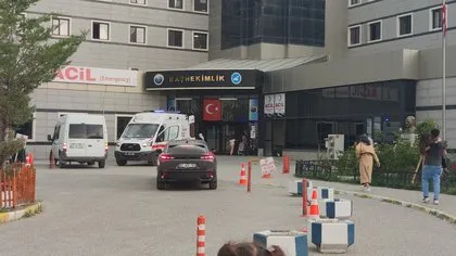 Korkunç olay! Tarlasına giderken iki ayının saldırısına uğradı: Yüzünü parçaladılar