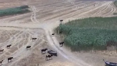 Marmara gölü nasıl kurtarılacak?