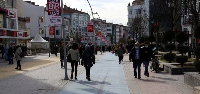 CHP yine heykel peşinde! Bolu’ya 10 metrelik bozayı heykeli