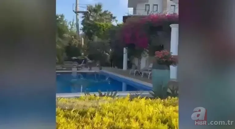 21 ilde 'Kripto' operasyonu: Ünlü yazar Aşkım Kapışmak da gözaltında! 1 milyar dolarlık vurgun... 5