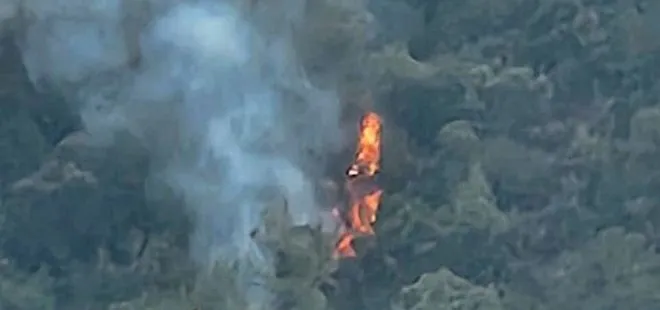 Muğla’da orman yangını: 1,5 saatte kontrol altına alındı