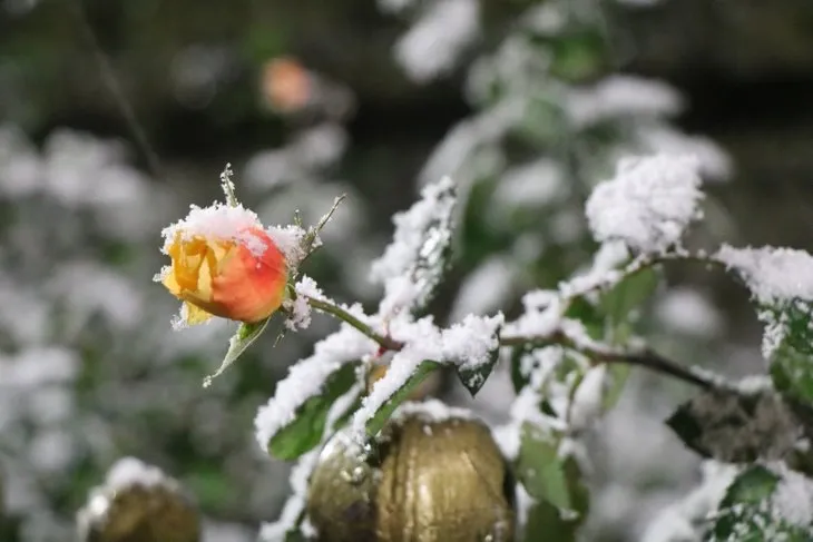 İstanbul’da bugün okullar tatil mi? 26 Aralık Çarşamba İstanbul kar tatili