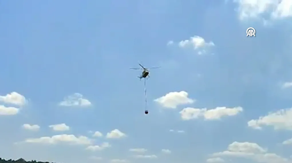 Bilecik'te arazide çıkan yangın söndürüldü