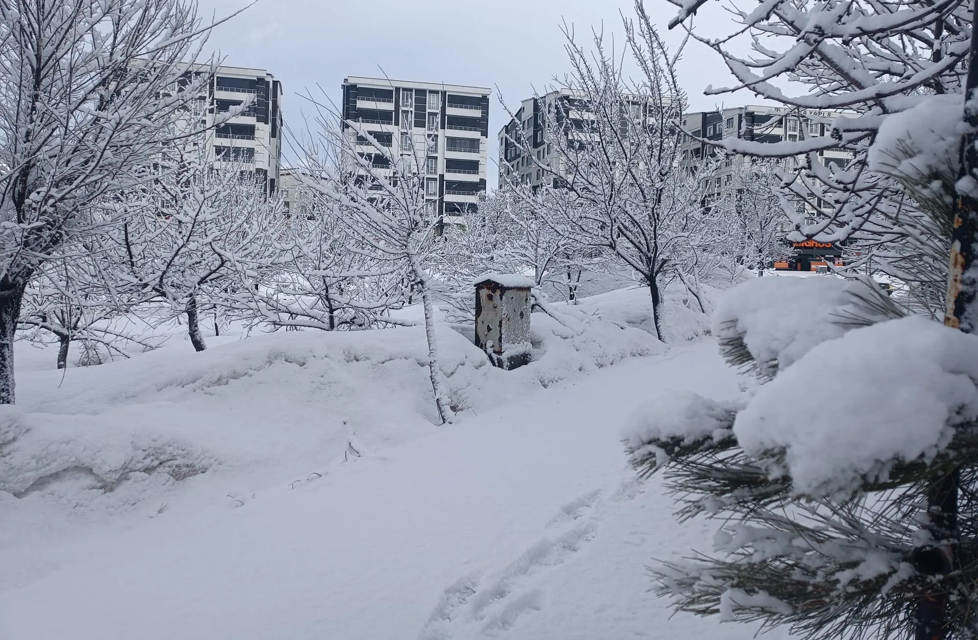 Bitlis'te kar yağışı