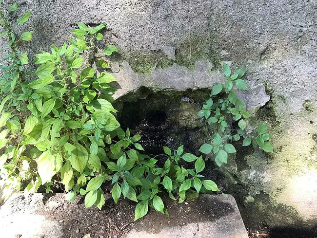 Üsküdar’daki Tarihi Harem İskelesi Ayazması turizme kazandırılmayı bekliyor