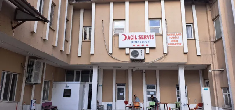 Son dakika: Bitlis'te kuduz alarmı! Tedavileri devam eden çocuklardan yeni haber: Tanı kesinleşti