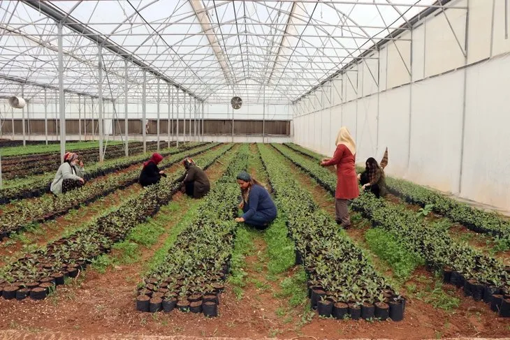 Gaziantepli 7 kadın, kurdukları kooperatifle ihracata başladı! İlk kez kendi parasını kazandı