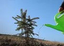 THY 150 bin fidanı toprakla buluşturacak