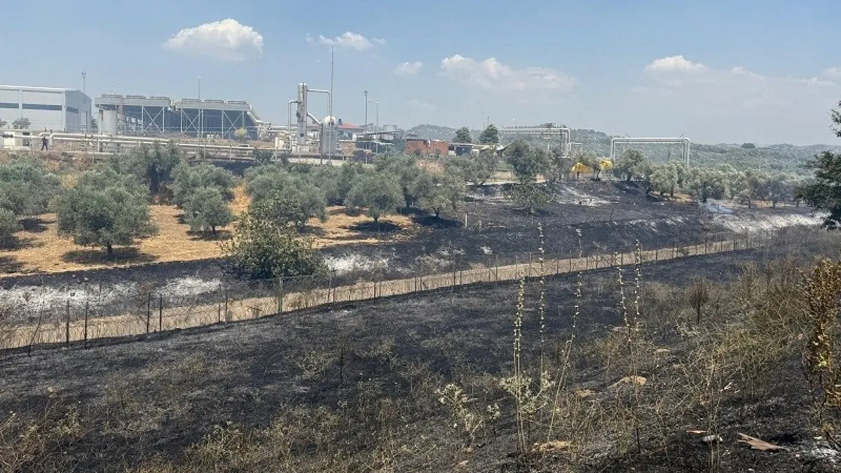 Çift sürülen tarla yangında zarar görmedi