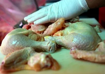 Yaz aylarında zehirlenme riskine karşı dikkat edilmesi gereken 5 gıda