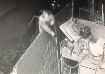 Köpeğe önce ateş etti sonra değnekler fırlattı! İstanbul'da insanlık dışı görüntüler