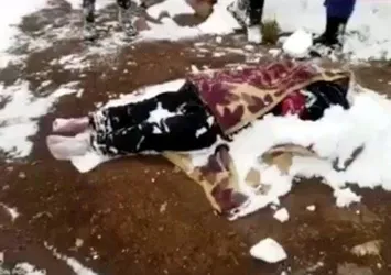 İran'da kahreden olay! Yavrularını korumak isterken canından oldu