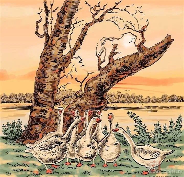 Sosyal medyayı sallayan soru! Cevabını çok az kişi biliyor 6