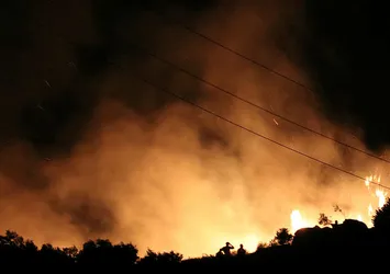 Marmara Adası için ağaçlandırma seferberliği başlatılacak