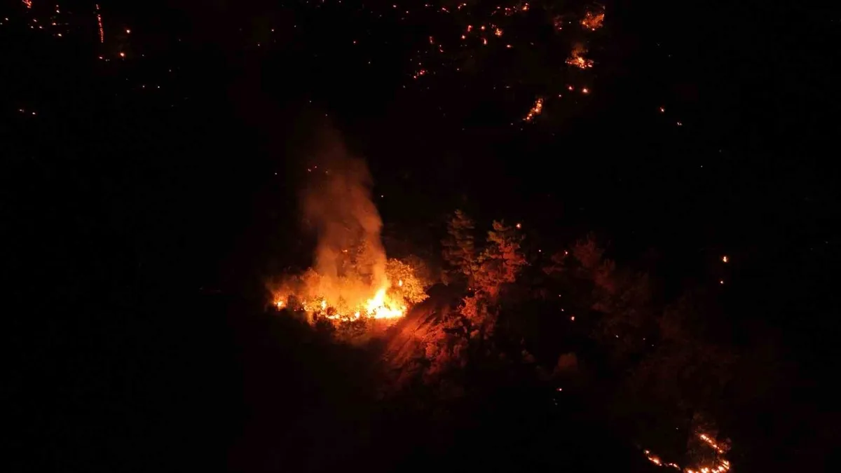Çanakkale'de gece saatlerinde çıkan orman yangını kontrol altına alındı
