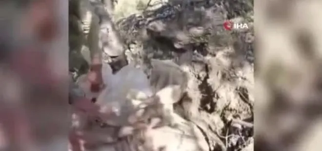 Şırnak’ta 36 adet AK-47 piyade tüfeği ele geçirildi