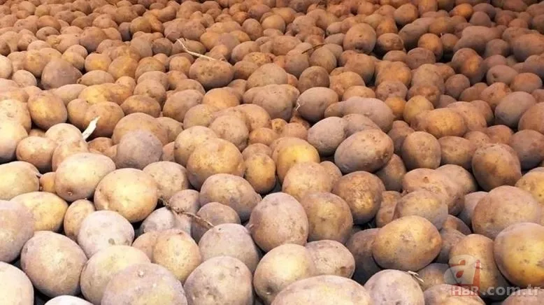 Bu besinlere dikkat! Buzdolabına koyarsanız zehre dönüşüyor | Farkına varmadan kendinizi zehirleyebilirsiniz 4