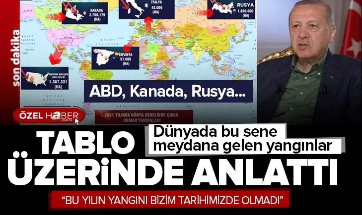 Başkan Erdoğan tablo üzerinde anlattı