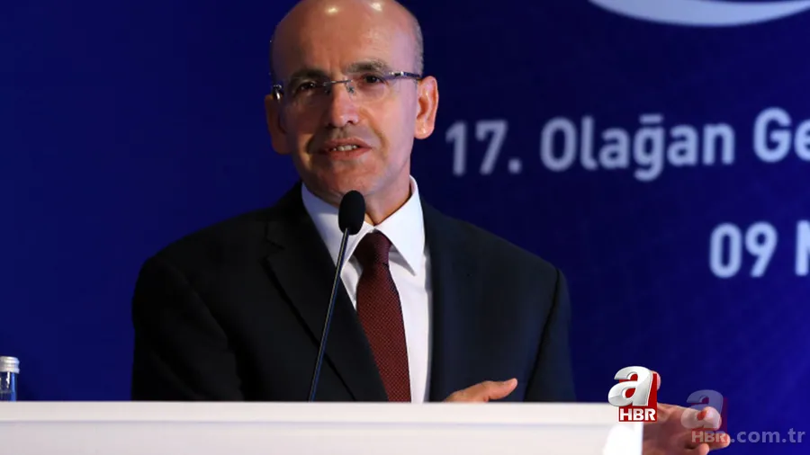 Mehmet Şimşek kimdir, kaç yaşında, nereli ve ne iş yapıyor? Hayatı ve kariyeri... 1