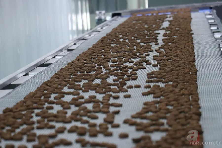 200 milyon TL devlet desteğiyle kuruldu! Kayseri'den 5 ülkeye ihraç ediyor 1