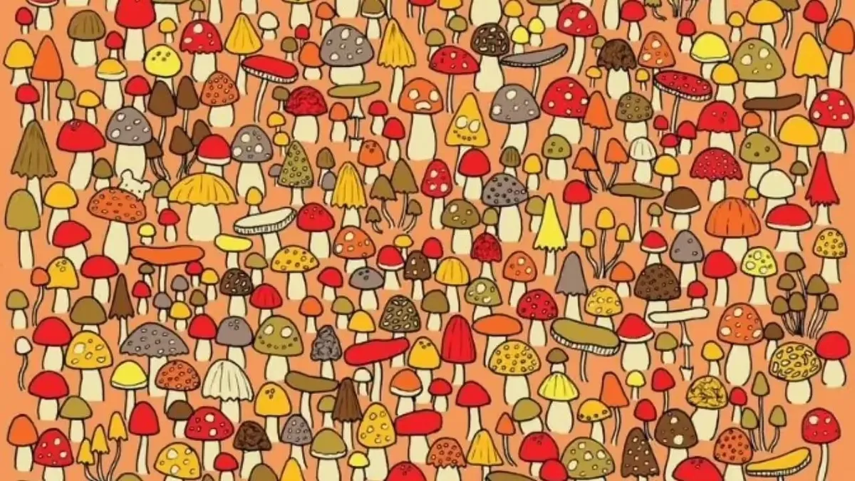 Optik İllüzyon: Rengarenk mantarların arasında bir fare gizleniyor! 7 saniyede onu saklandığı yerden çıkarabilir misin?