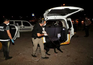 Antalya'da 250 polisle 'şok' uygulama
