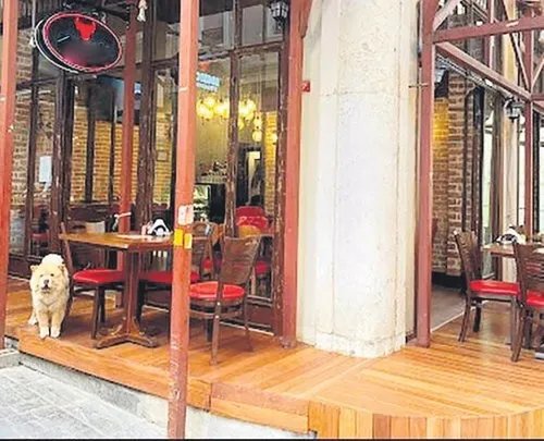 restoranda-kopek-dehseti-cin-aslani-unlu-sarkici-ali-kalin-kulagini-kopardi-1692855463998.jpeg Restoranda köpek dehşeti! Çin Aslanı ünlü şarkıcı Ali Kal’ın kulağını kopardı - 1
