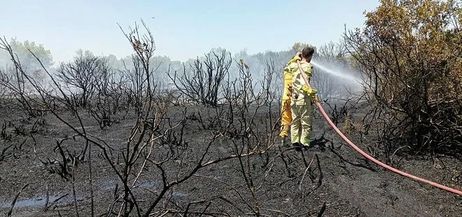 Antalya’daki orman yangını kontrol altında