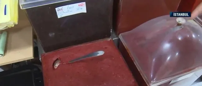 Salçada hileye dikkat! Salça alırken neye dikkat edilmeli? - 3