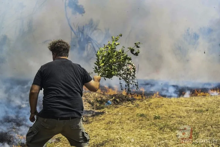 Yunanistan’da orman yangınlarıyla mücadele sürüyor! Seferber oldular