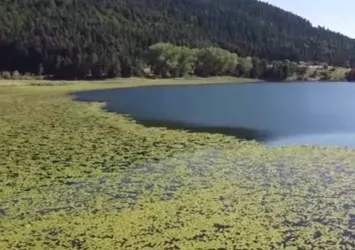 Bolu son 94 yılın en sıcak gününü yaşadı!