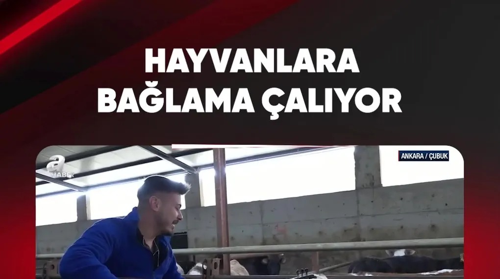 HAYVANLARA BAĞLAMA ÇALIYOR