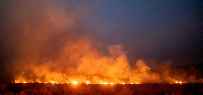 Brezilya’da korkutan orman yangınları!