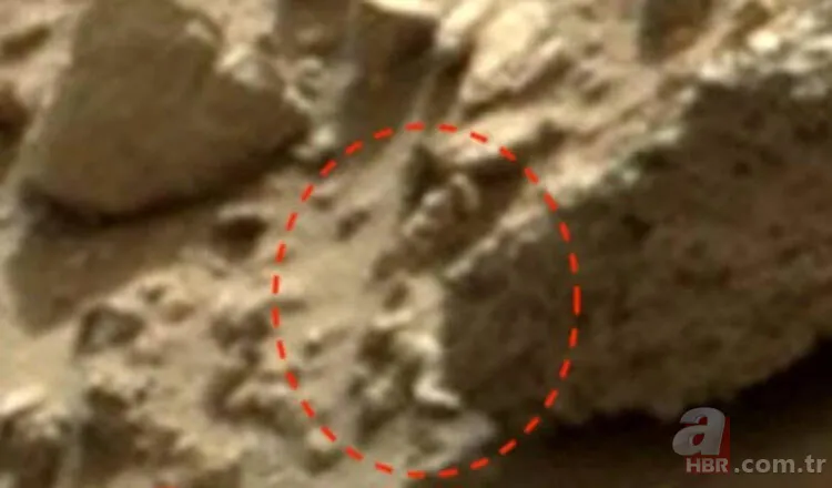 NASA aracının yakınında bulundu! Mars'ta dehşete düşüren keşif... 9