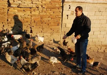 10 liralık yumurtalarla servet kazandı