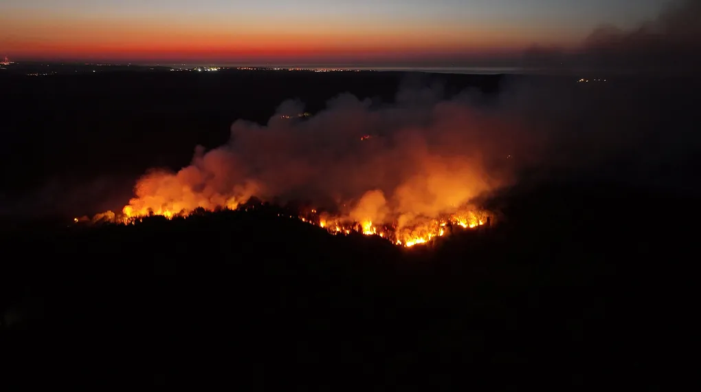 Beykoz'da ormanlık alanda yangın