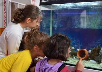 Çocuklar için camiye akvaryum yaptırdı! İmamın güzel hizmeti tam not aldı