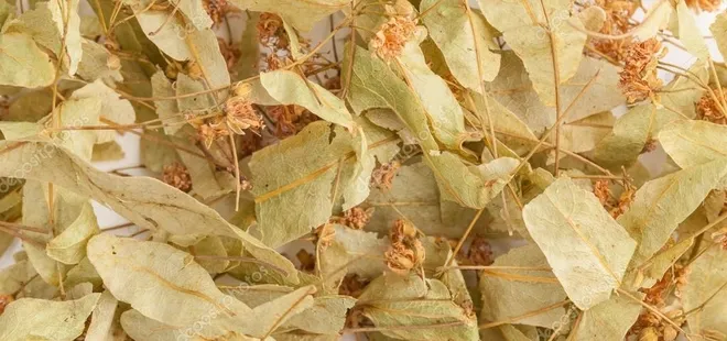 Ihlamurun fiyatı çeyrek altını geçti