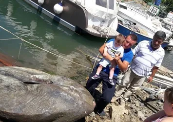 Gemlik’te dev ay balığı yakalandı