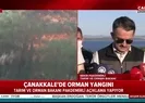 Çanakkalede 5 ayrı noktada orman yangını