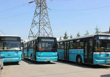 500 bin otobüse karakutu geliyor