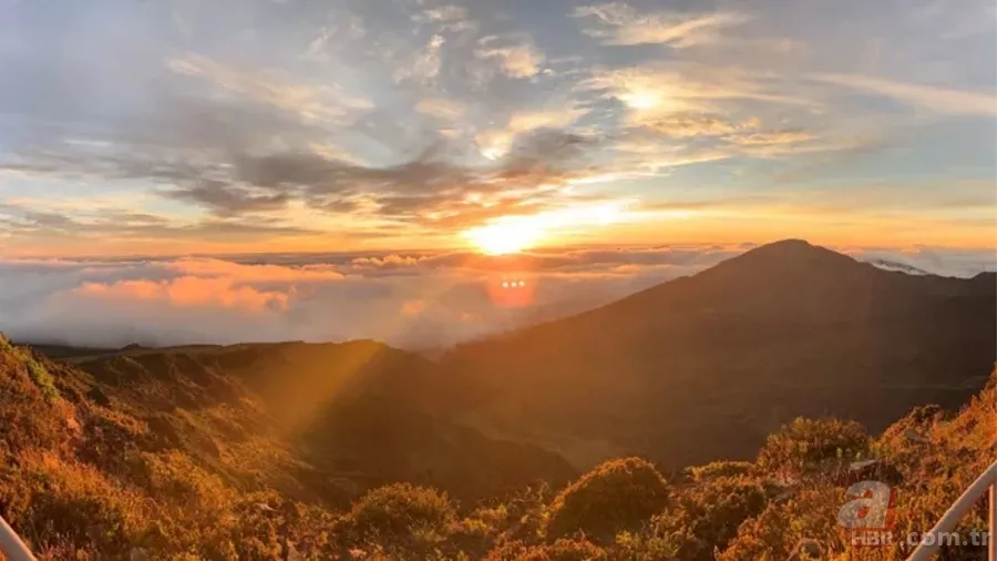 Dünyanın en sessiz yeri neresi? Kendi kalp atışınızı duyacağınız o nokta 3