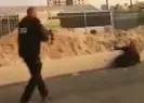Vicdansızlar! Kadını vurup izlediler