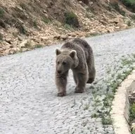 Trabzonda gülümseten anlar! Böyle seslendi