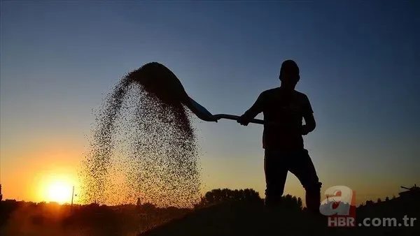 5000 TL İKRAMİYE MÜJDESİ SON DAKİKA: Çiftçilere 5000 TL emekli ikramiyesi ne zaman verilecek? ÇKS belgesi olanlar... 4