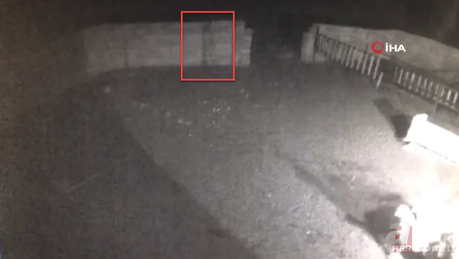 Ağıla girince şoke oldu! Kaçarken tekrar saldırdı… Tek tek saldırıp böyle dehşet saçtı 2