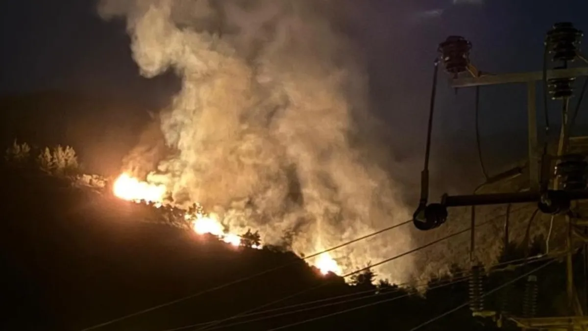 Aydın'da ormanlık alanda yangın! Alevler köylülerin desteğiyle kontrol altına alındı