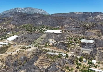Alanya'daki orman yangınının boyutu havadan görüntülendi