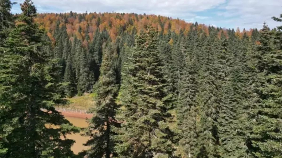 Bartın ve Karabük yaylalarında sonbahar güzelliği